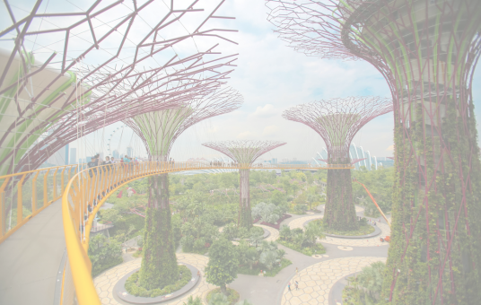 singapur-tour-packages